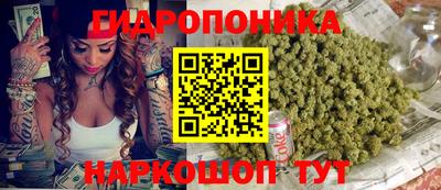 индика Ипатово