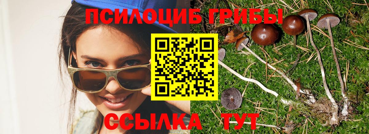 Псилоцибиновые грибы мухоморы  Вход с VPN  Якутск 